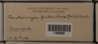 Image Associated With the Occurence